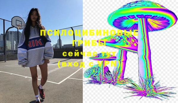 прущие грибы Алексин