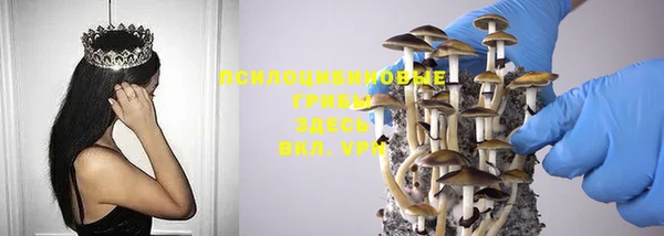 прущие грибы Алексин