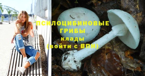 прущие грибы Алексин