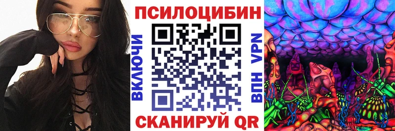 Галлюциногенные грибы прущие грибы  Петров Вал 